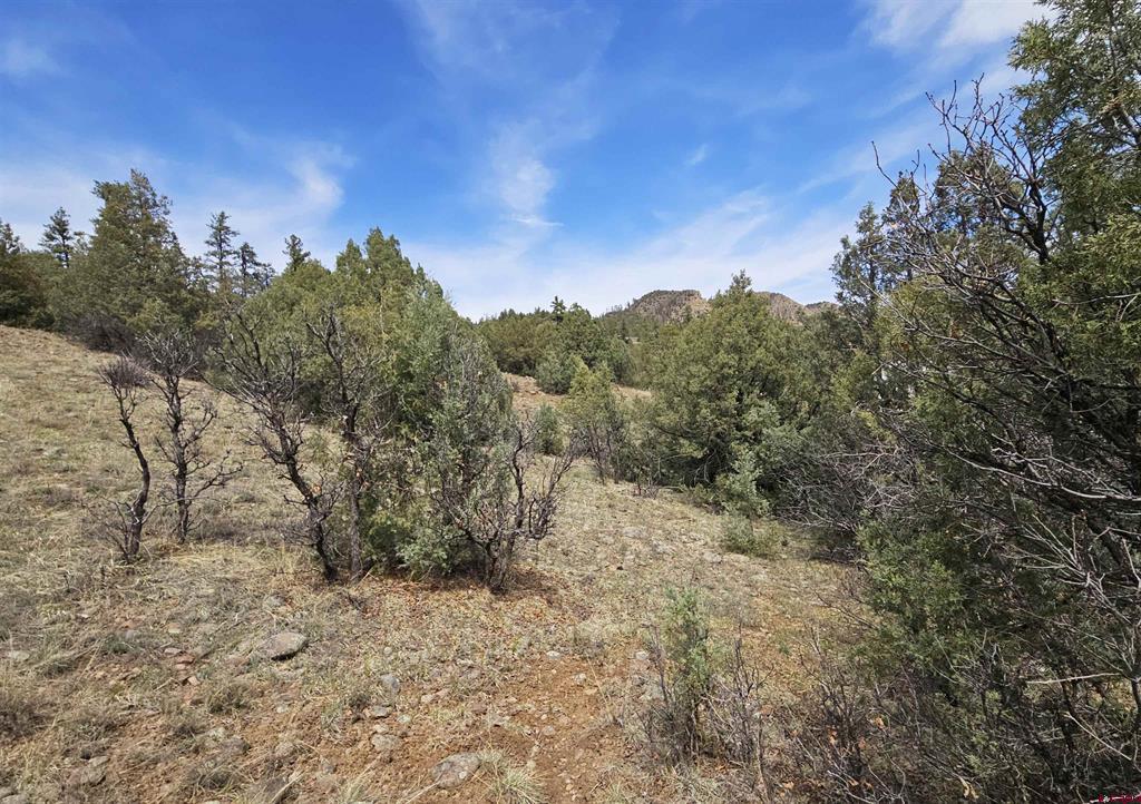206 Alcazar Place Property Photo 10