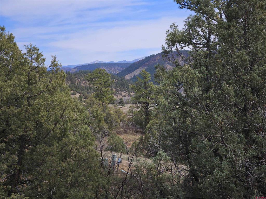 206 Alcazar Place Property Photo 11
