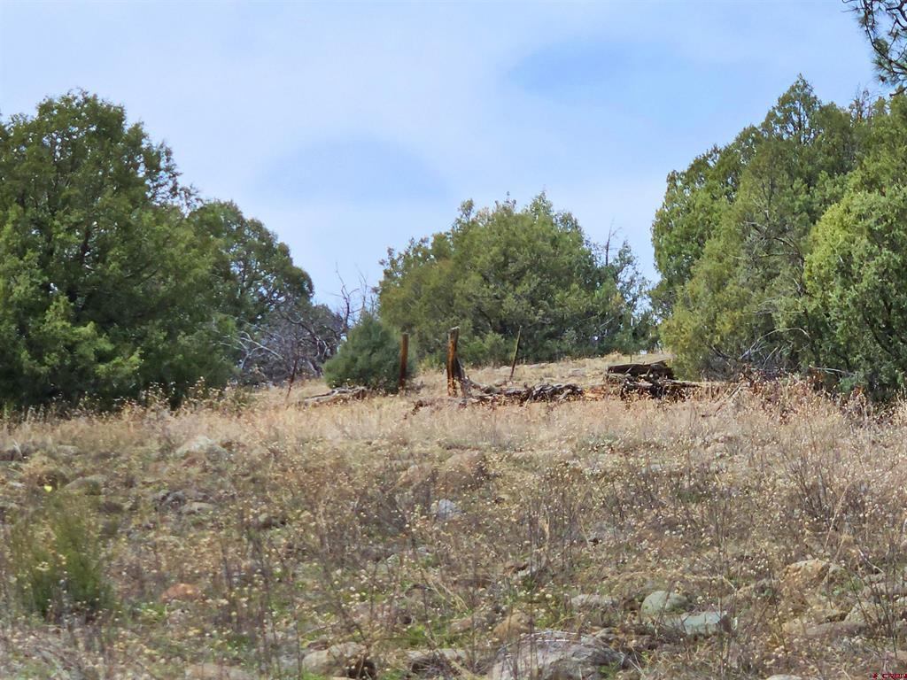 206 Alcazar Place Property Photo 13