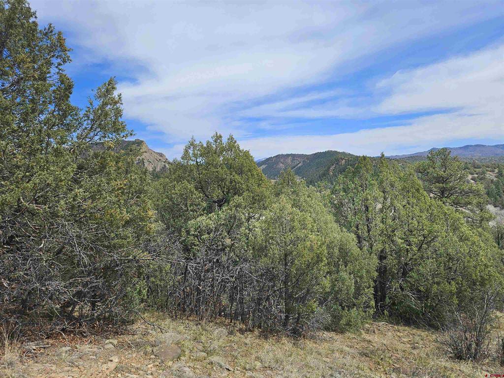 206 Alcazar Place Property Photo 15