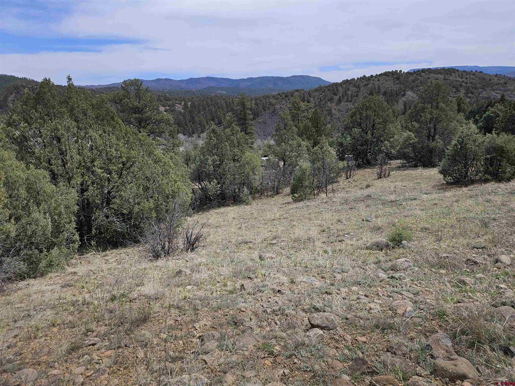 206 Alcazar Place Property Photo 16