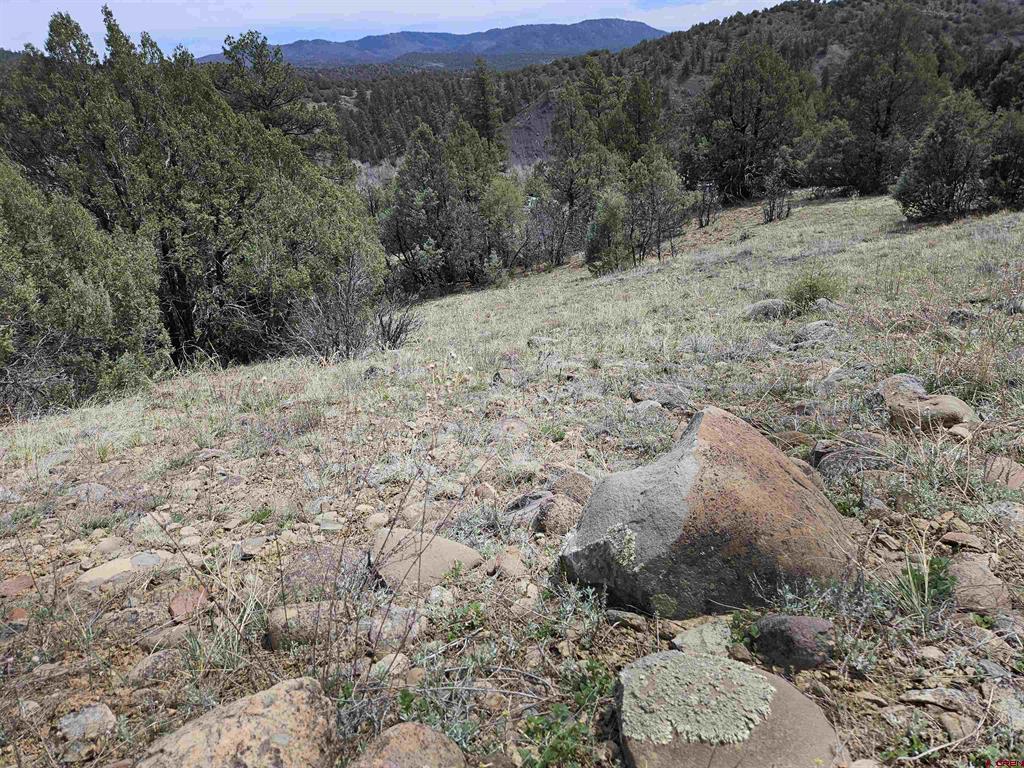 206 Alcazar Place Property Photo 17