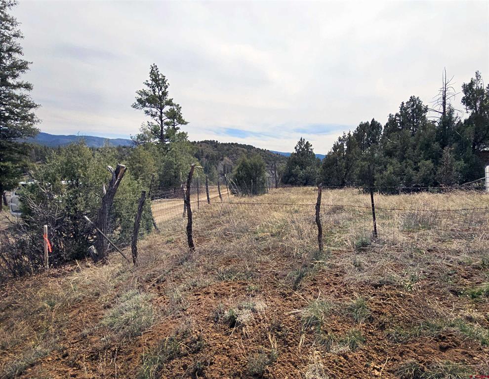206 Alcazar Place Property Photo 21