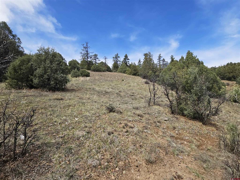 206 Alcazar Place Property Photo 30