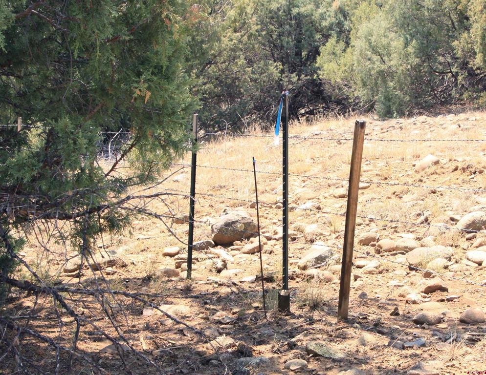 206 Alcazar Place Property Photo 34