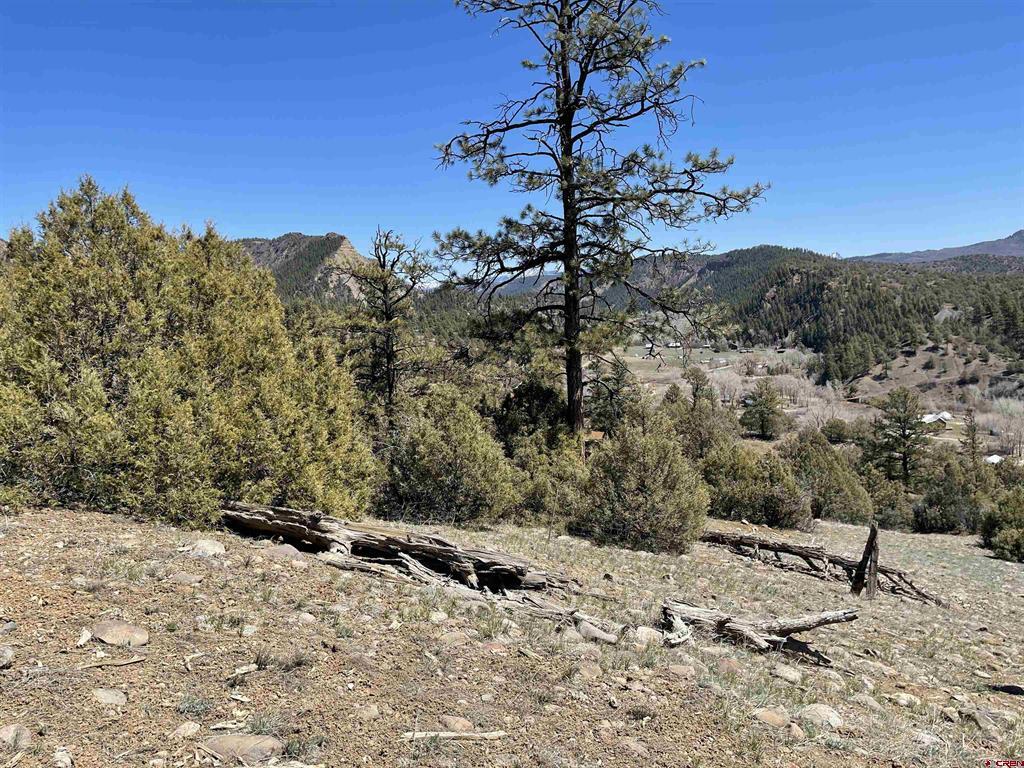 206 Alcazar Place Property Photo 36
