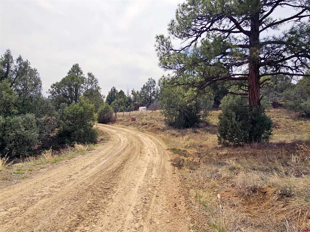 206 Alcazar Place Property Photo 40