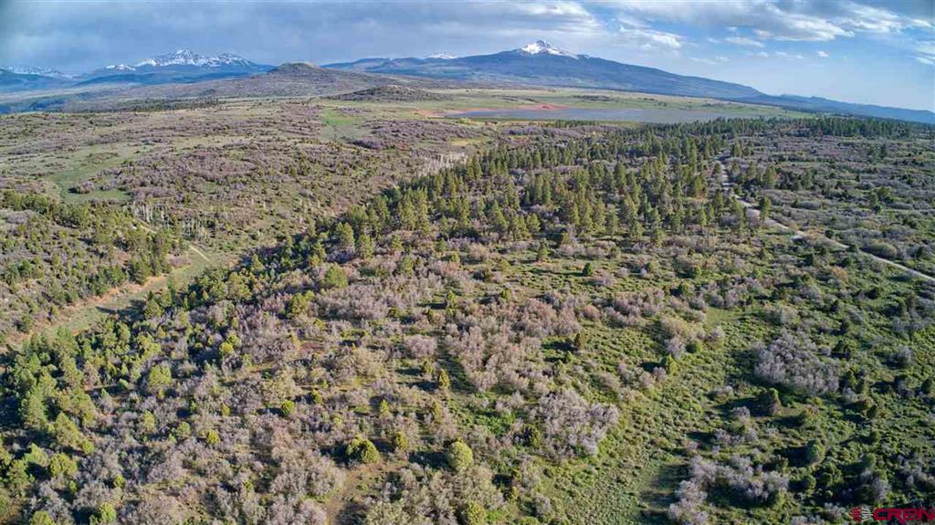 Tbd Gurley Lake Property Photo