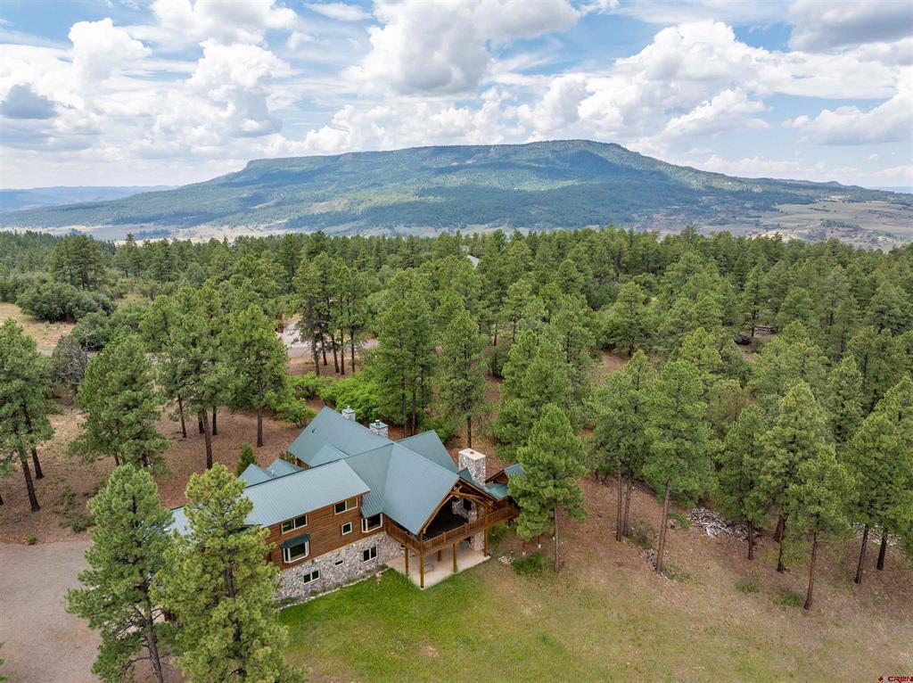 473 N Black Bear Place