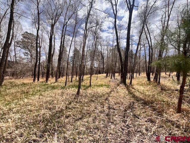 95 Pinestone Drive Property Photo