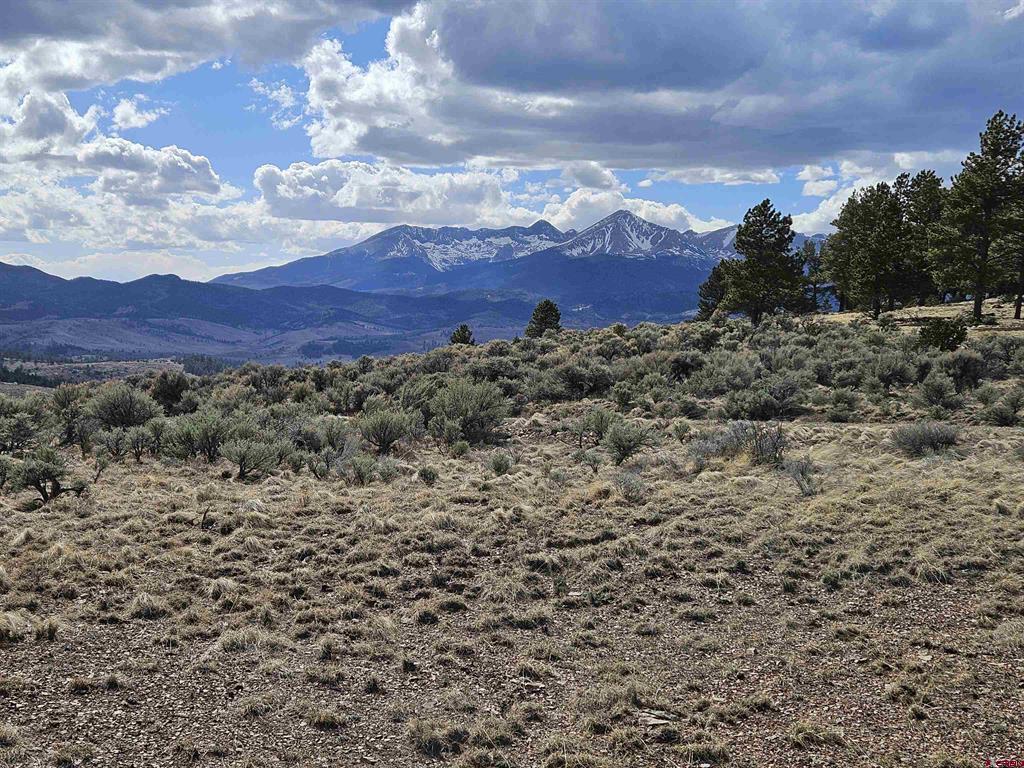 81133 Real Estate Listings Main Image