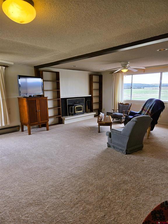35101 County Road 4000 Property Photo 18