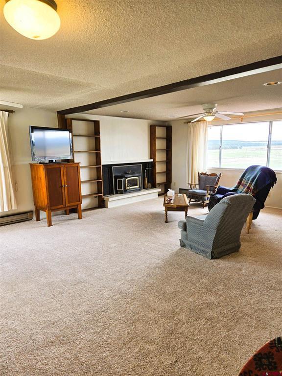 35101 County Road 4000 Property Photo 25