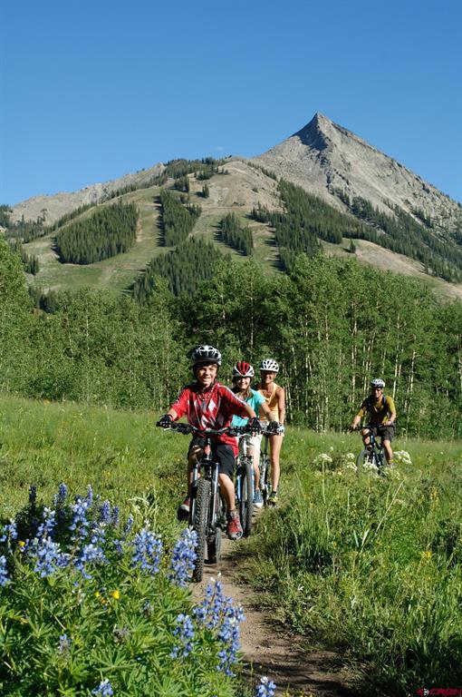 11 Snowmass Road Property Photo 45