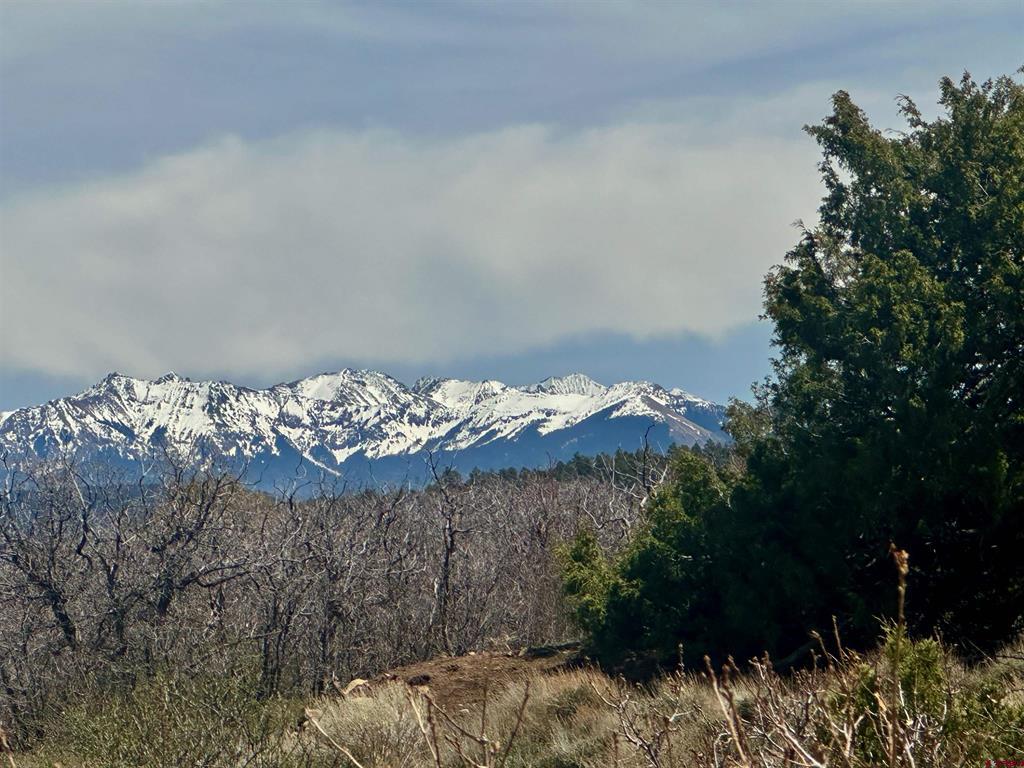 N Gurley Reserve Property Photo 1
