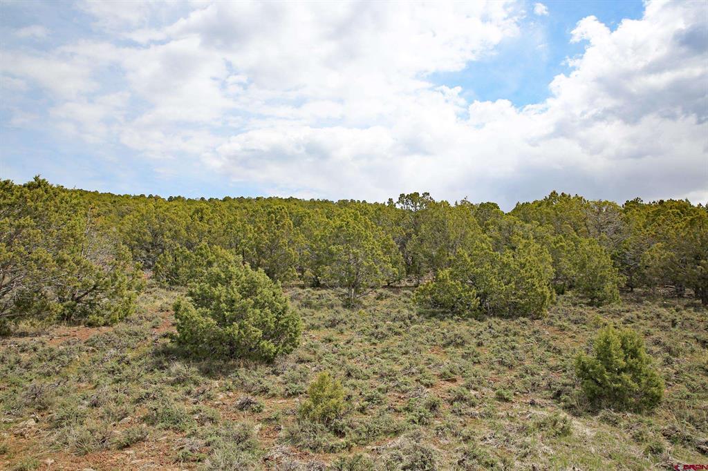 Tbd Kk Road Property Photo 6