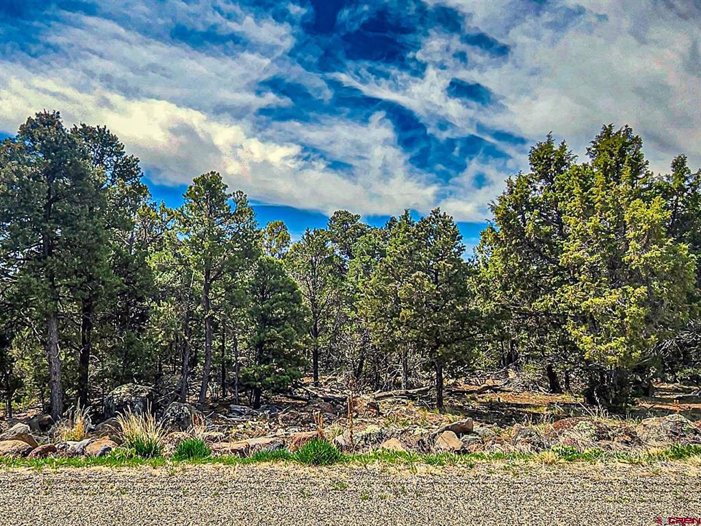 Lot 7 Wild Turkey Lane Property Photo 2