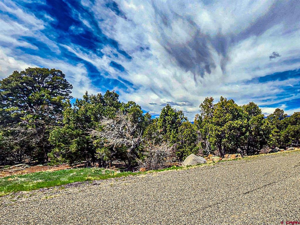 Lot 7 Wild Turkey Lane Property Photo 7