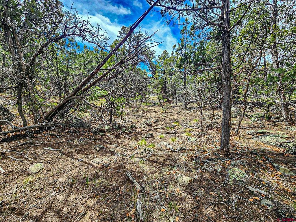 Lot 7 Wild Turkey Lane Property Photo 8