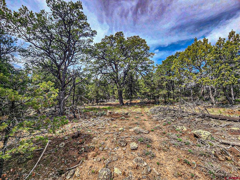 Lot 7 Wild Turkey Lane Property Photo 11