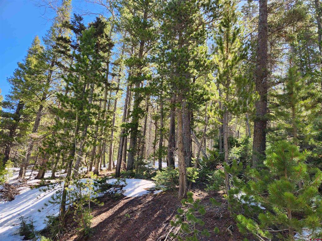 00 Special Place Property Photo 3