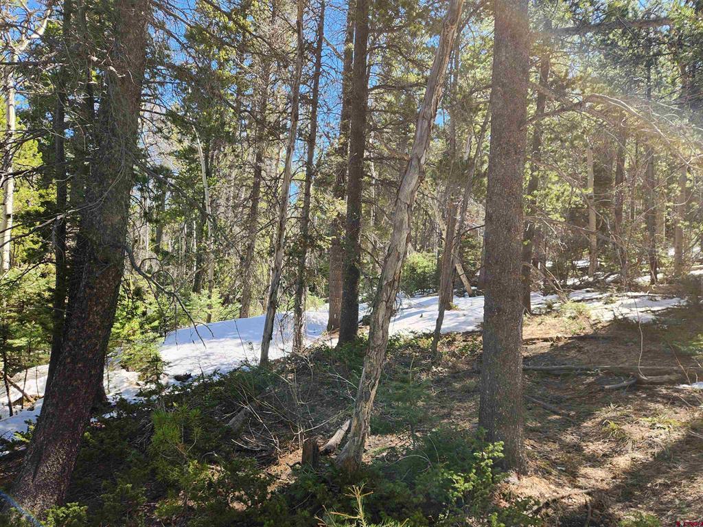 00 Special Place Property Photo 7