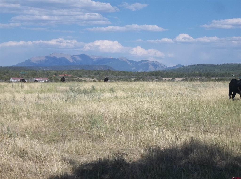 Tbd E Cr V44 Road Property Photo 1