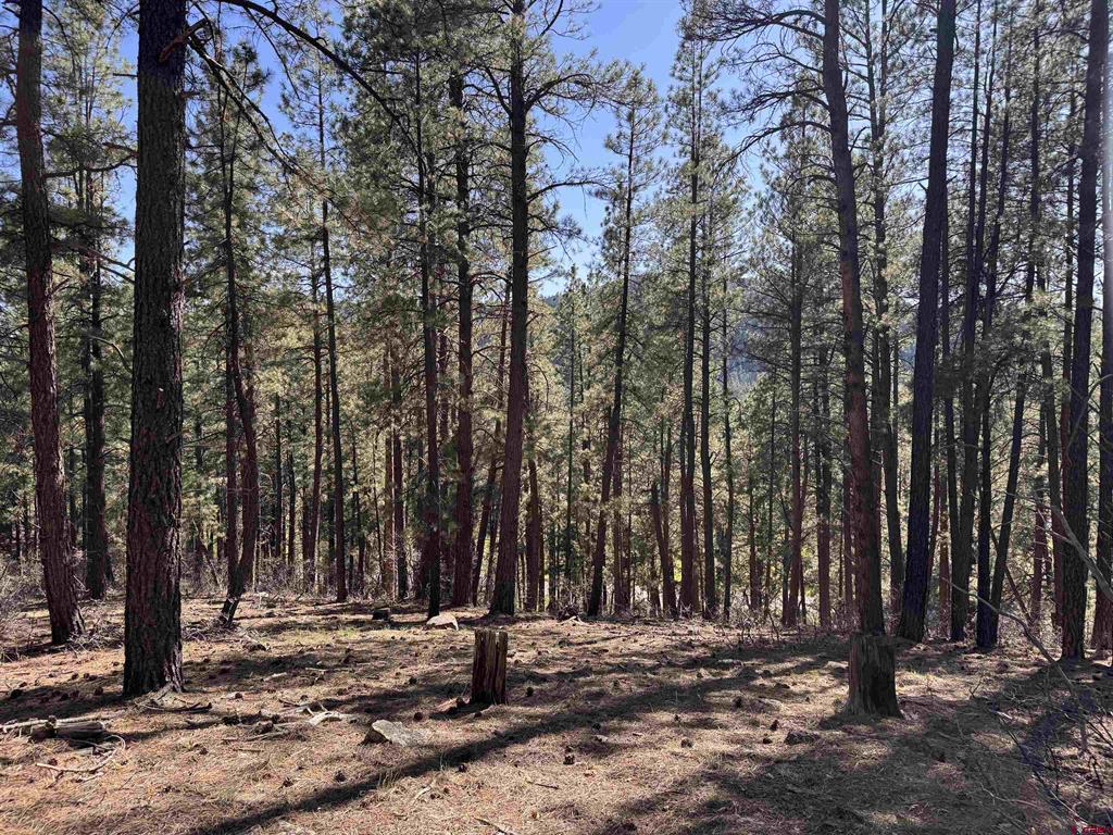 Forest Lakes Real Estate Listings Main Image