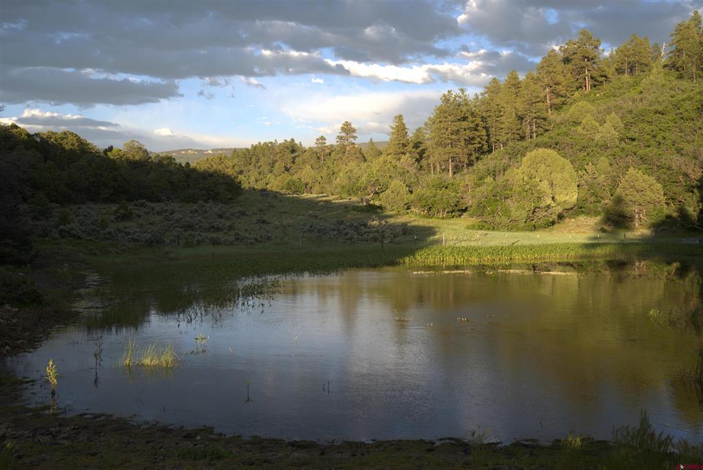Tierra Amarilla Real Estate Listings Main Image