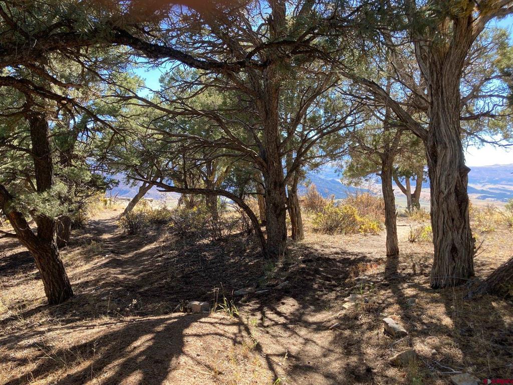 Tbd (lot 4) Pine Drive Property Photo 1
