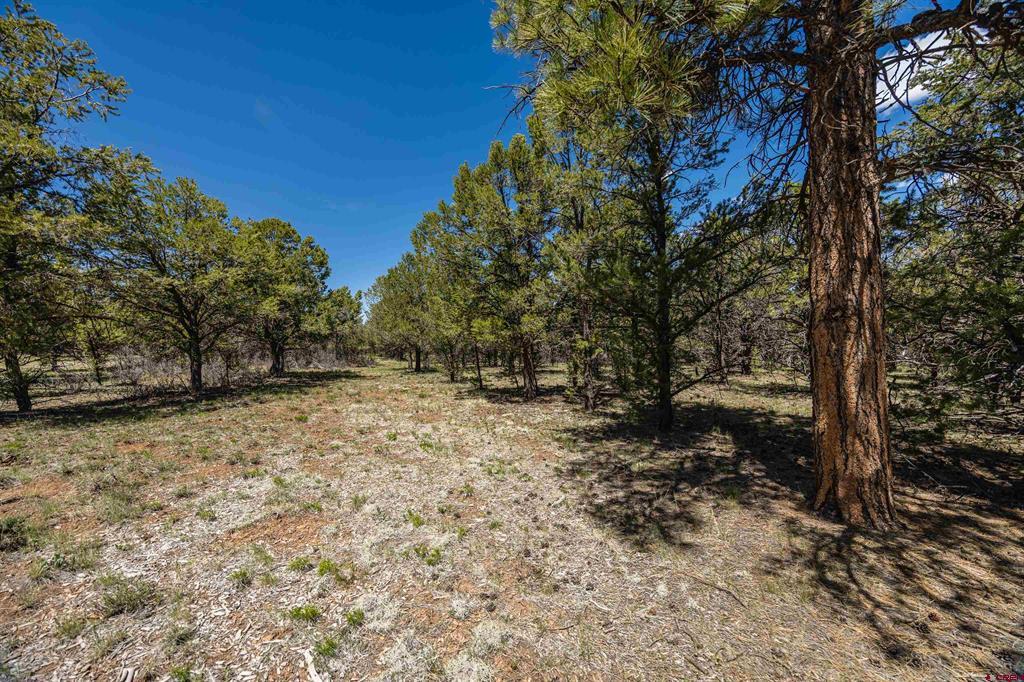 Lot 6 Waterview Court Property Photo 1