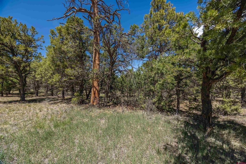 Lot 6 Waterview Court Property Photo 3