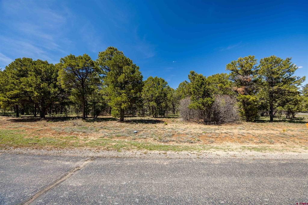 Lot 6 Waterview Court Property Photo 10