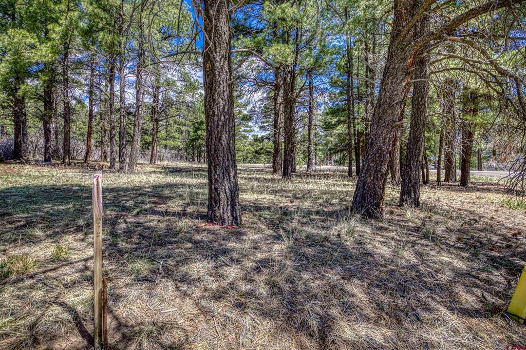 824 Antelope Avenue Property Photo