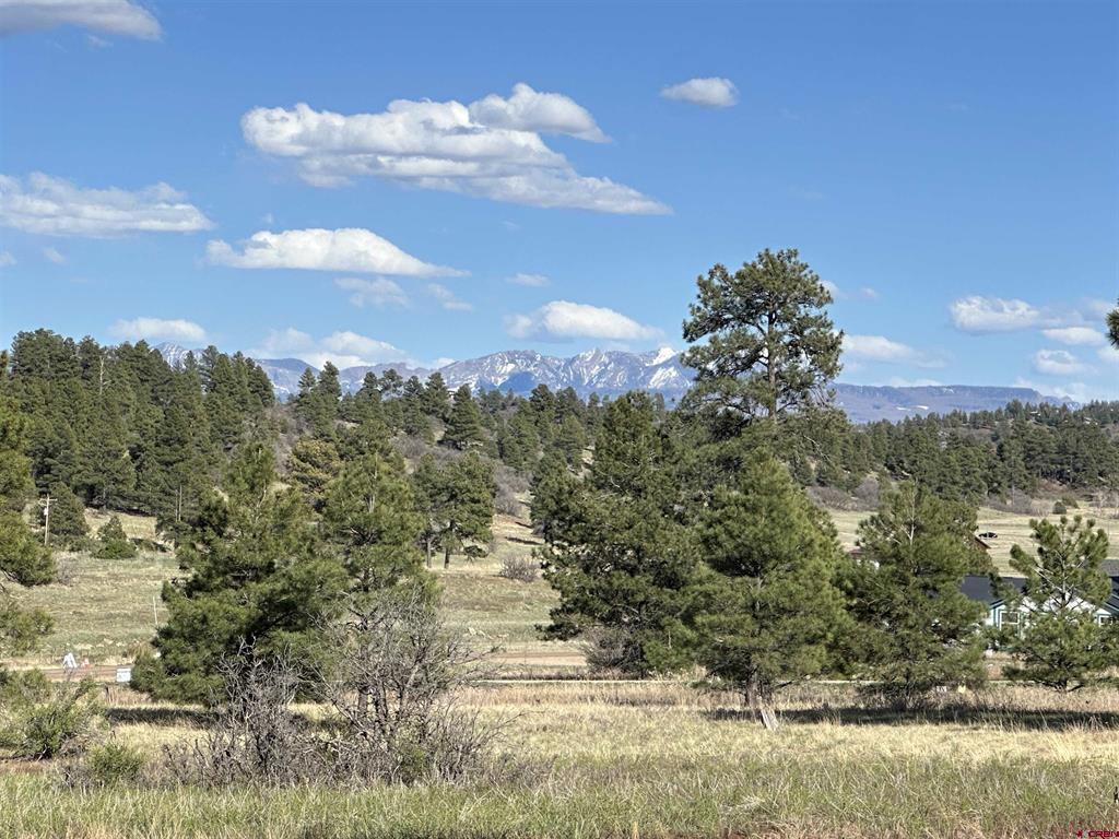 748 Trails Boulevard Property Photo