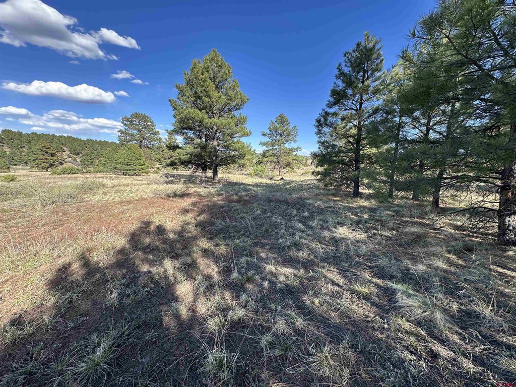 748 Trails Boulevard Property Photo 13