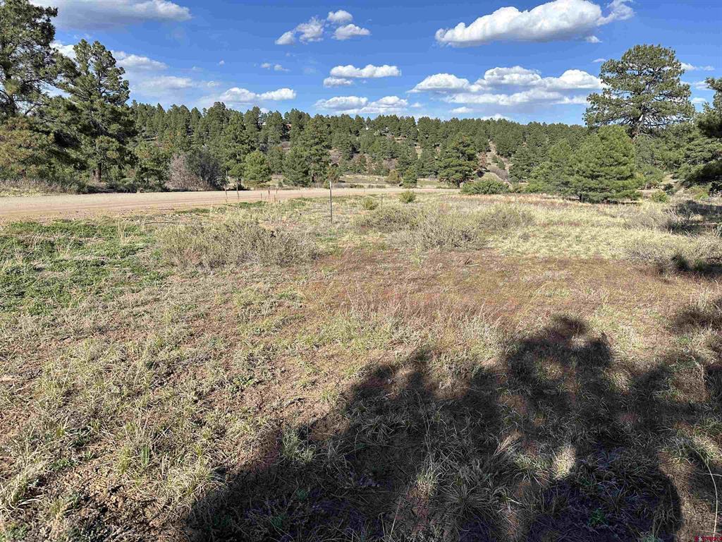 748 Trails Boulevard Property Photo 14