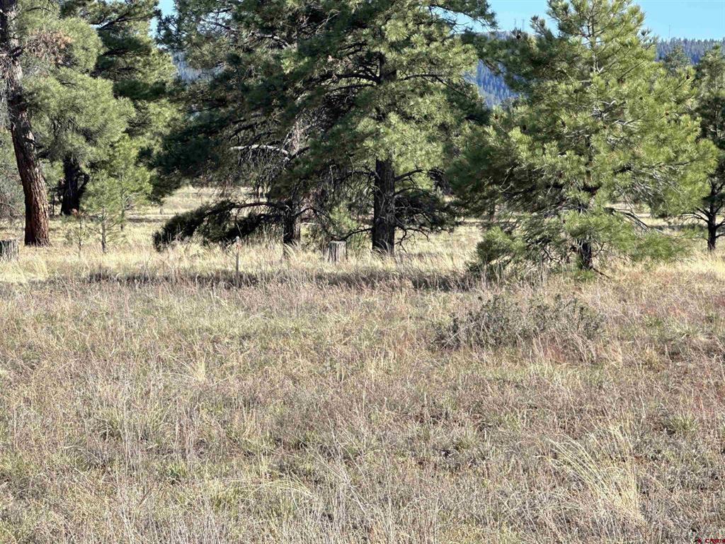 748 Trails Boulevard Property Photo 15