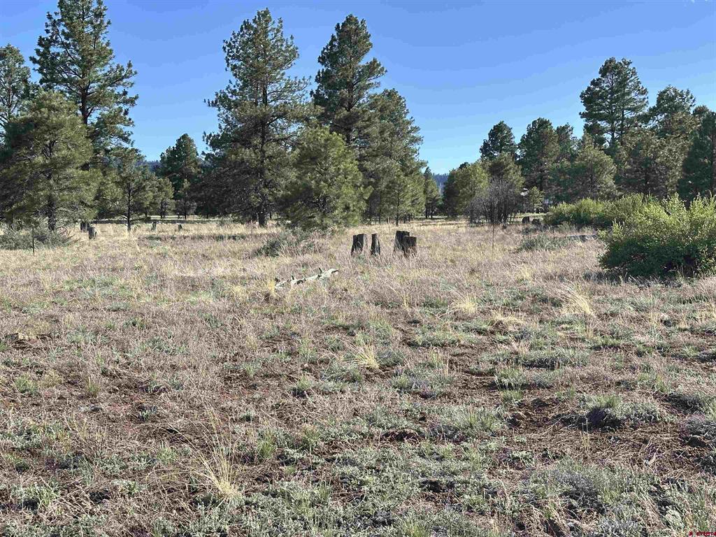 748 Trails Boulevard Property Photo 19