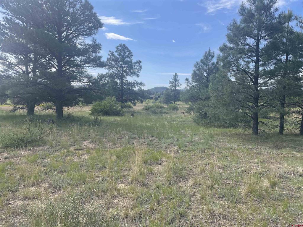 748 Trails Boulevard Property Photo 23