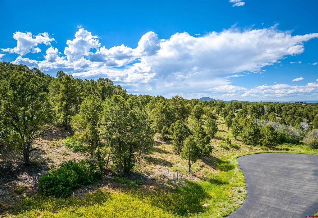 Lot 9 Pointe Escape Drive Property Photo