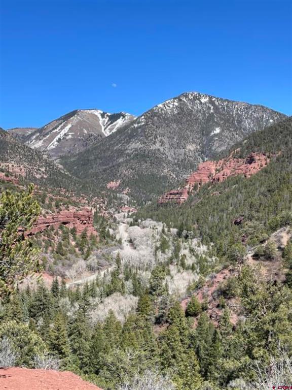 Lot 10 Fall Cre 57t Fall Creek Road Property Photo 1