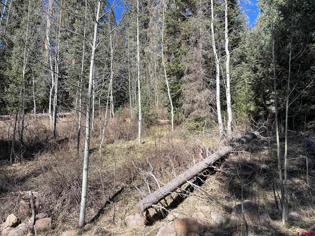 114 & 116 Meadowbrook Park Property Photo 15