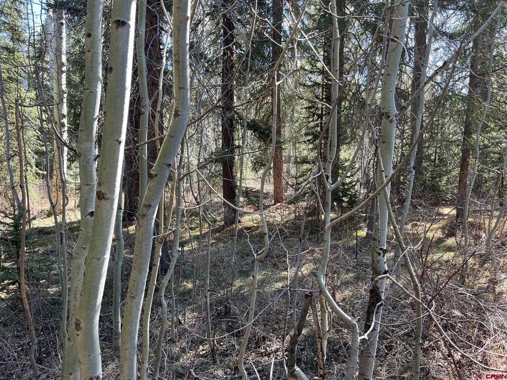 114 & 116 Meadowbrook Park Property Photo 16