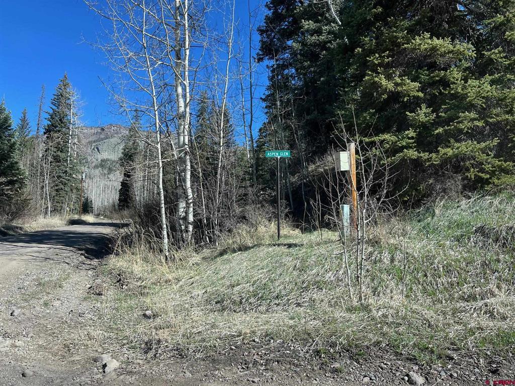 114 & 116 Meadowbrook Park Property Photo 17