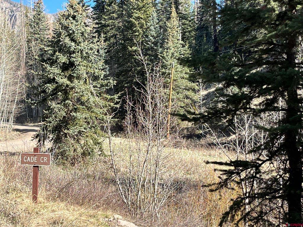 114 & 116 Meadowbrook Park Property Photo 24