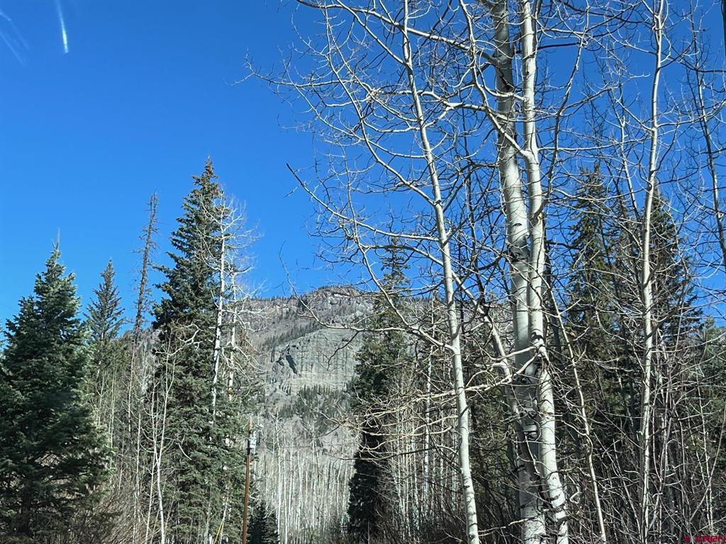 114 & 116 Meadowbrook Park Property Photo 25