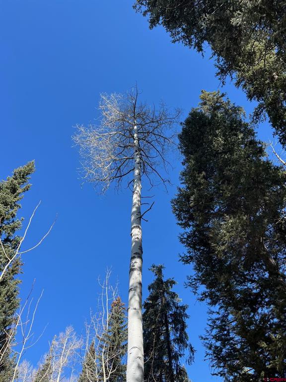 114 & 116 Meadowbrook Park Property Photo 28