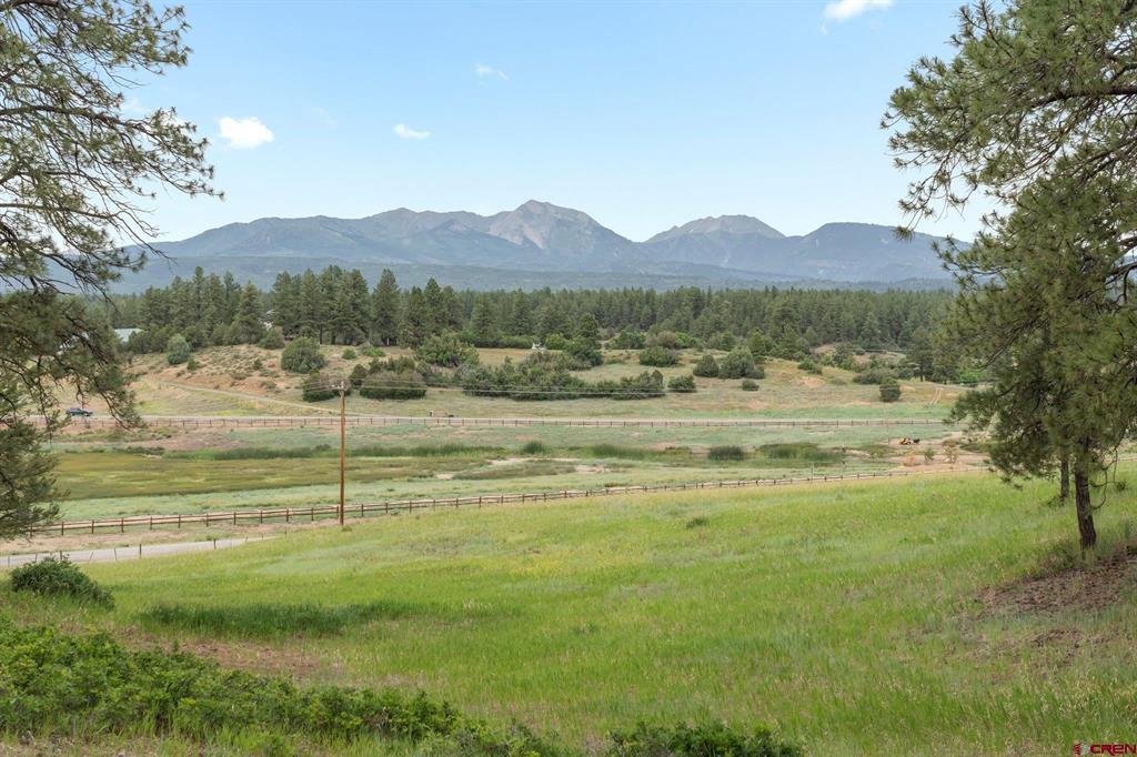 111 Rendezvous Trail Property Photo 39
