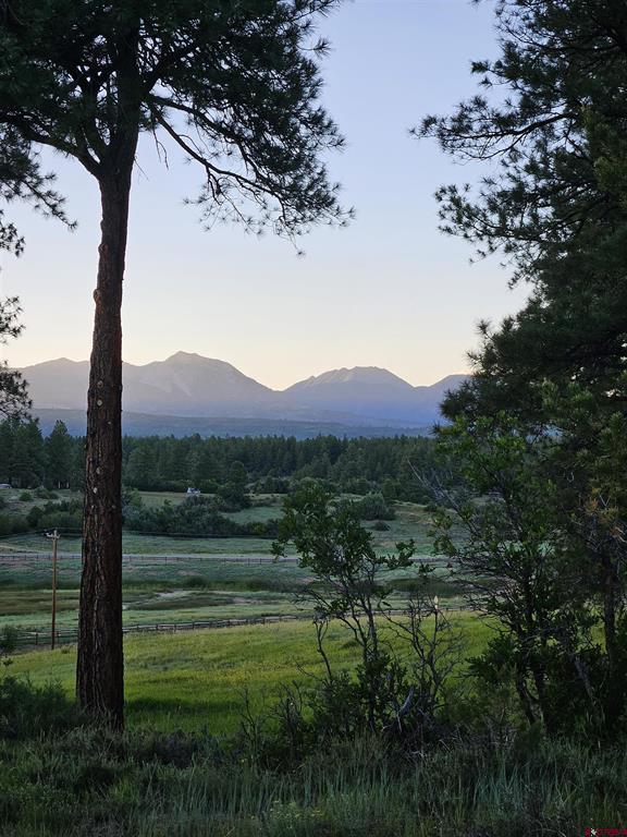 111 Rendezvous Trail Property Photo 44